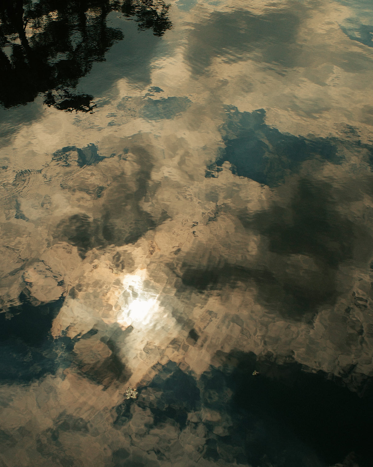 Reflections #01
